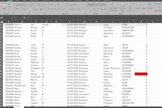 clean and format your excel data professionally