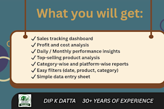create professional excel dashboard for ecommerce sellers