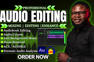 professional audio editing, cleanup, noise reduction, forensic audio analysis