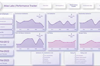 provide services in data viz, cleaning, and analysis