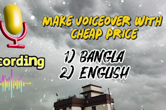record a professional voice over narration for your video