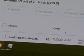 manage your ebay account as a virtual assistant, VA and related issues