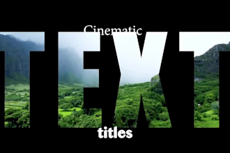 do professional video editing transitions