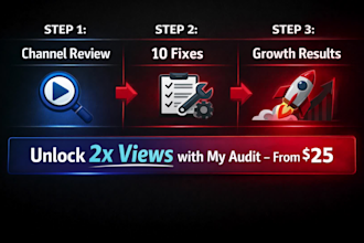 do a professional youtube channel audit and growth strategy