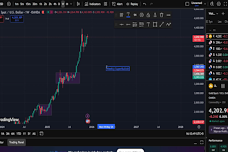 be your forex mentor live simulation sessions