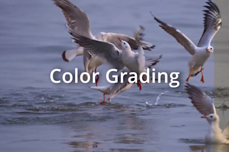 edit nature wildlife video documentary