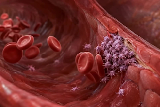 create ai medical video medical explainer surgical video 3d anatomy animation