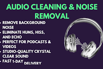 professionally remove background noise and clean your audio