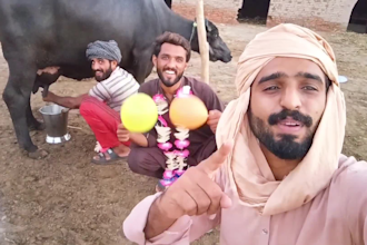 wish happy birthday video or happy birthday