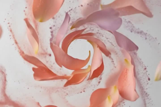 create prfessiona ai product images