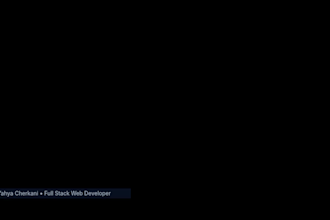 build a professional full stack website or web application
