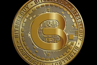 create and launch your custom crypto coin or memecoin