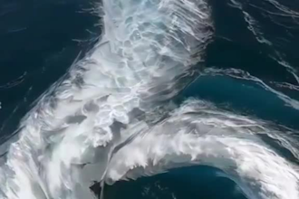 do 3d water simulation water simulation fluid simulation 3d