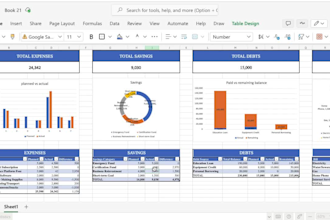 build a custom startup financial model and financial plan