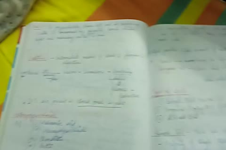 professionally handwrite any language on english script