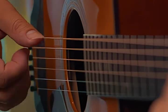 record fiddle, violin, viola, guitar, mandolin, lute,oud, harp