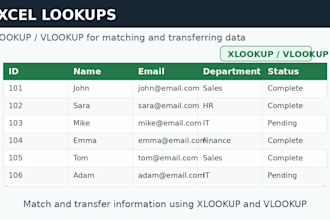 provide accurate and efficient data entry and excel spreadsheet services