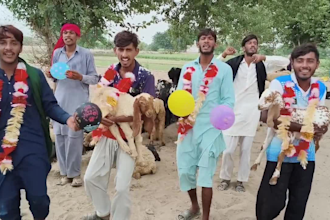 wish african happy birthday video or happy birthday video
