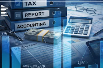 expert in accounting, bookkeeping, audit, finance and tax