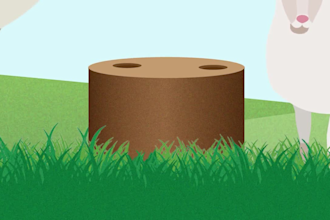 create short animation for you