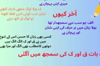 urdu writing, english writing and translation services