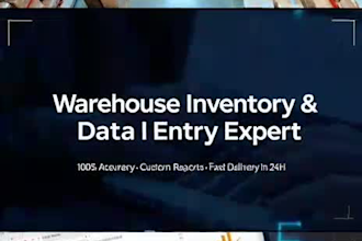do warehouse inventory and excel data entry