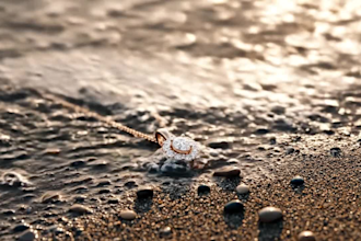 do jewellery animation , cad making