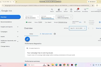set up google shopping ads, search ads and ecommerce sales ad specialist