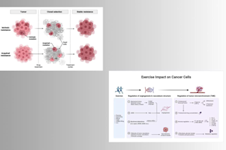 design professional scientific diagrams and illustrations