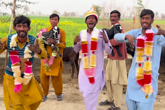 wish african happy birthday video or happy birthday video
