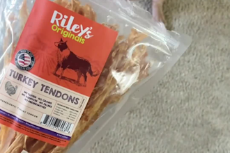 create dog content for your brand