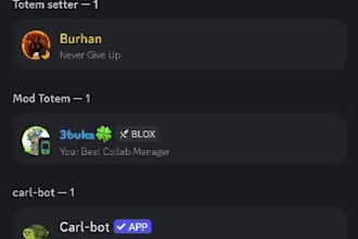 setup your discord server and manage too