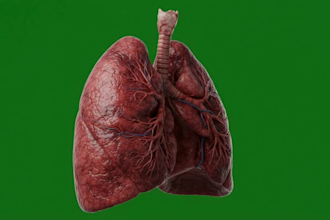ai medical animation, ai surgical animation video, healthcare explainer