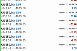deliver profitable gold trading bot, forex trading bot, trading robot, ea bot