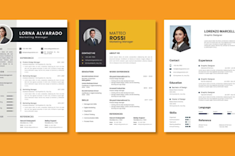 write an ats friendly professional CV