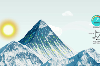 create a clean minimalist scientific 2d explainer animation