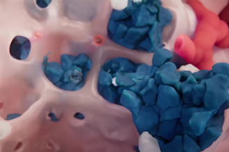 create 3d medical animation molecular moa animation cellular pathway animation