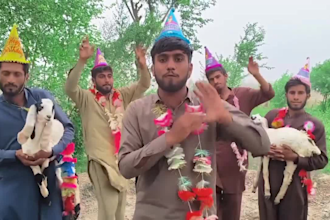 wish african happy birthday video or happy birthday video