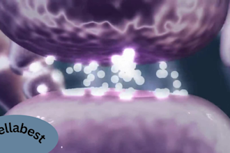 create 3d medical anatomy and physiology animation for education