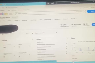 deliver ecommerce services for ebay, amazon, and tiktok shop