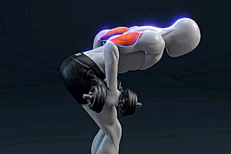 create realistic 3d workout, gym, and fitness animation videos
