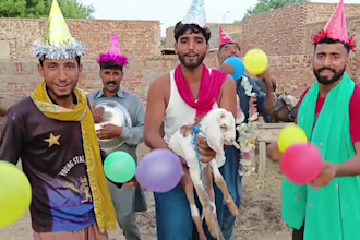 wish happy birthday africa video or indian spokesperson