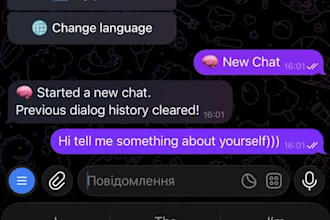 build custom telegram bot, python script, or ai automation