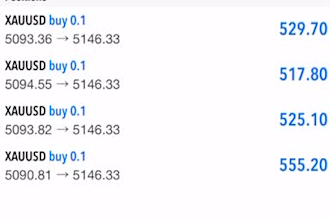 be your account management, mt4 account management, mt5 account management