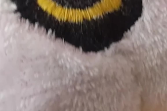 create a custom pattern and 3d model of your plushie concept