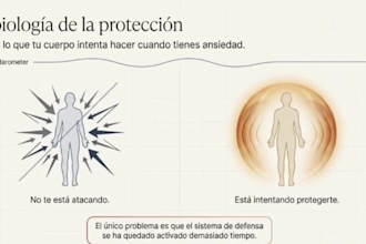create yoga and medical science videos in spanish