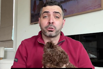create relatable pet ugc videos for tiktok and meta