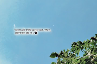 create aesthetic bengali status video, reels and tiktok video editing