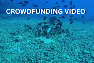 research crowdfunding campaign, set up gofundme, kickstarter, indiegogo