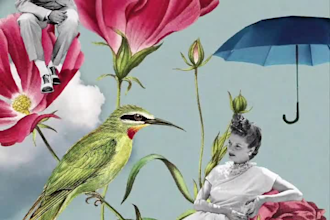 create photo animation, scrapbook animation, photo montage animation, collage